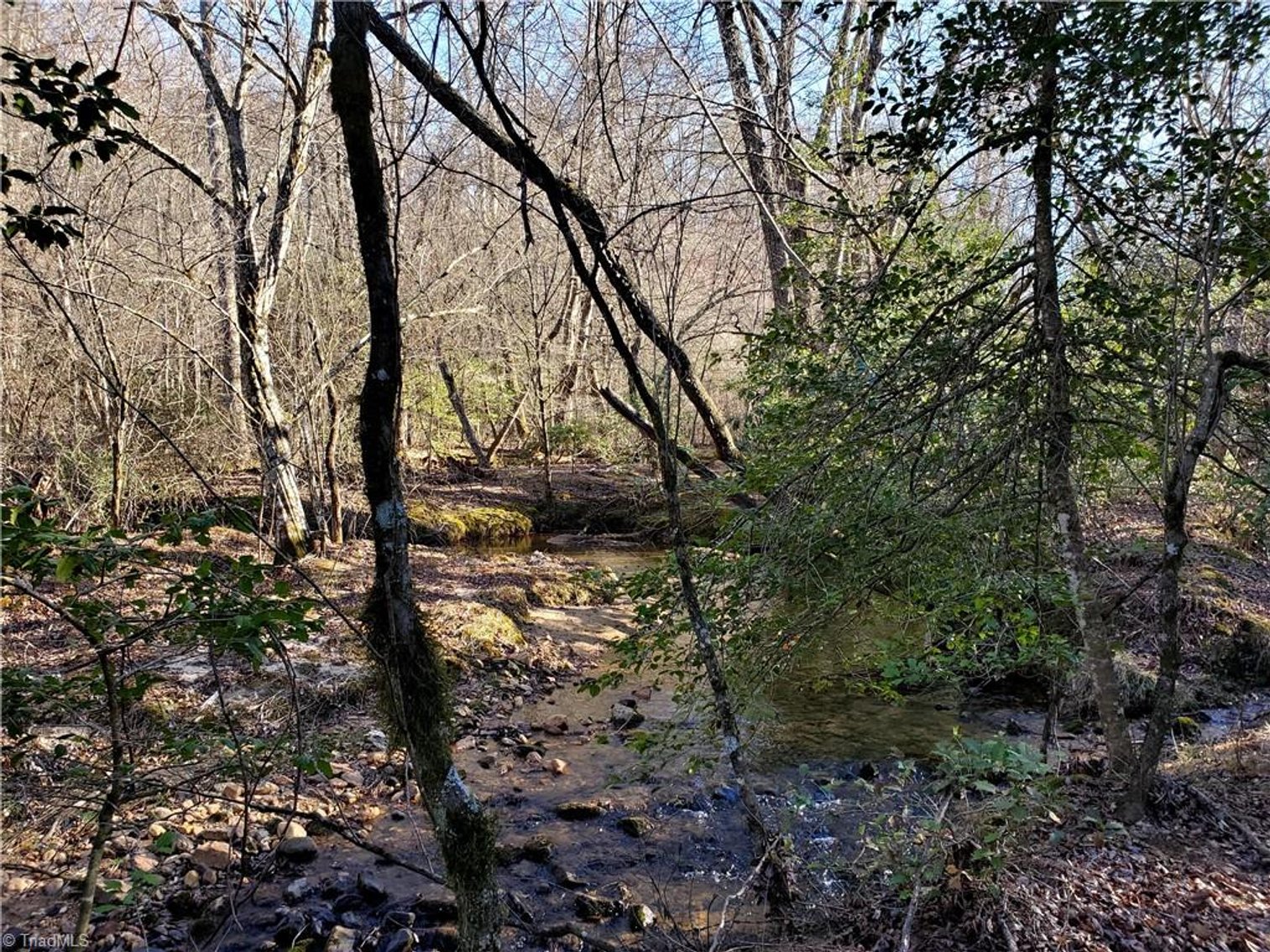 Image for Land For Sale in Dobson - 1373 Fisher Valley Road