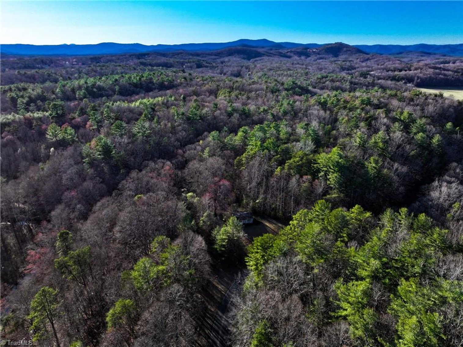 Image for Land For Sale in Dobson - 1373 Fisher Valley Road