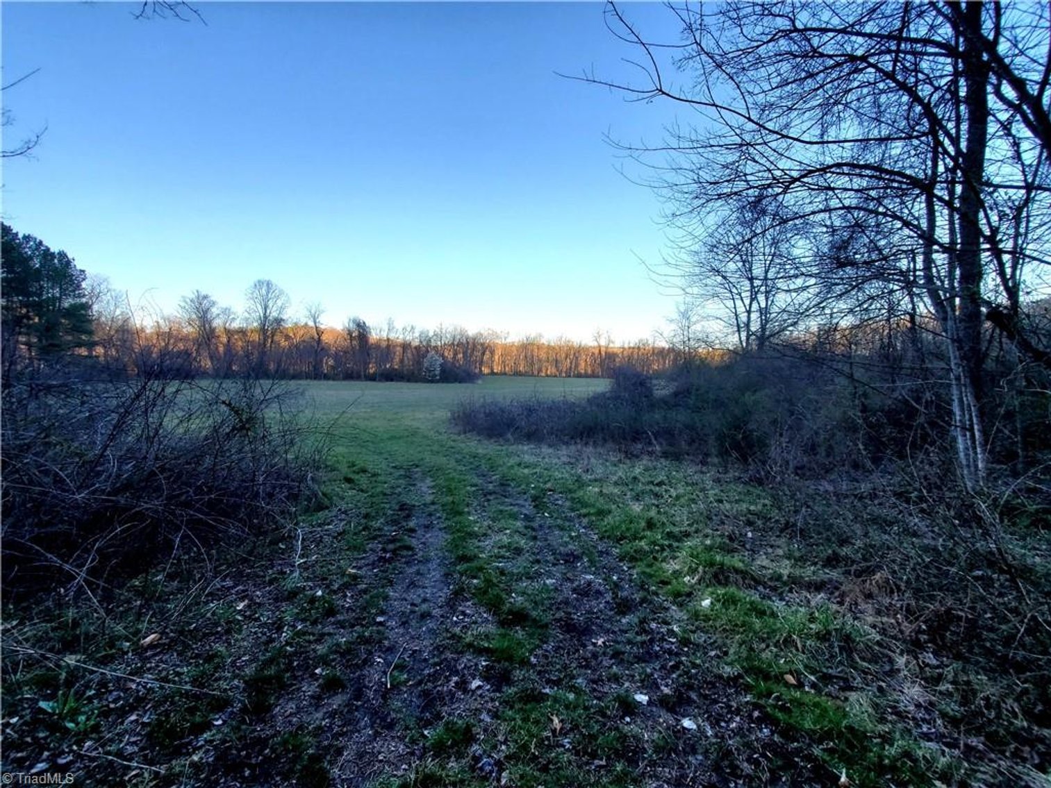 Image for Land For Sale in Dobson - 1373 Fisher Valley Road