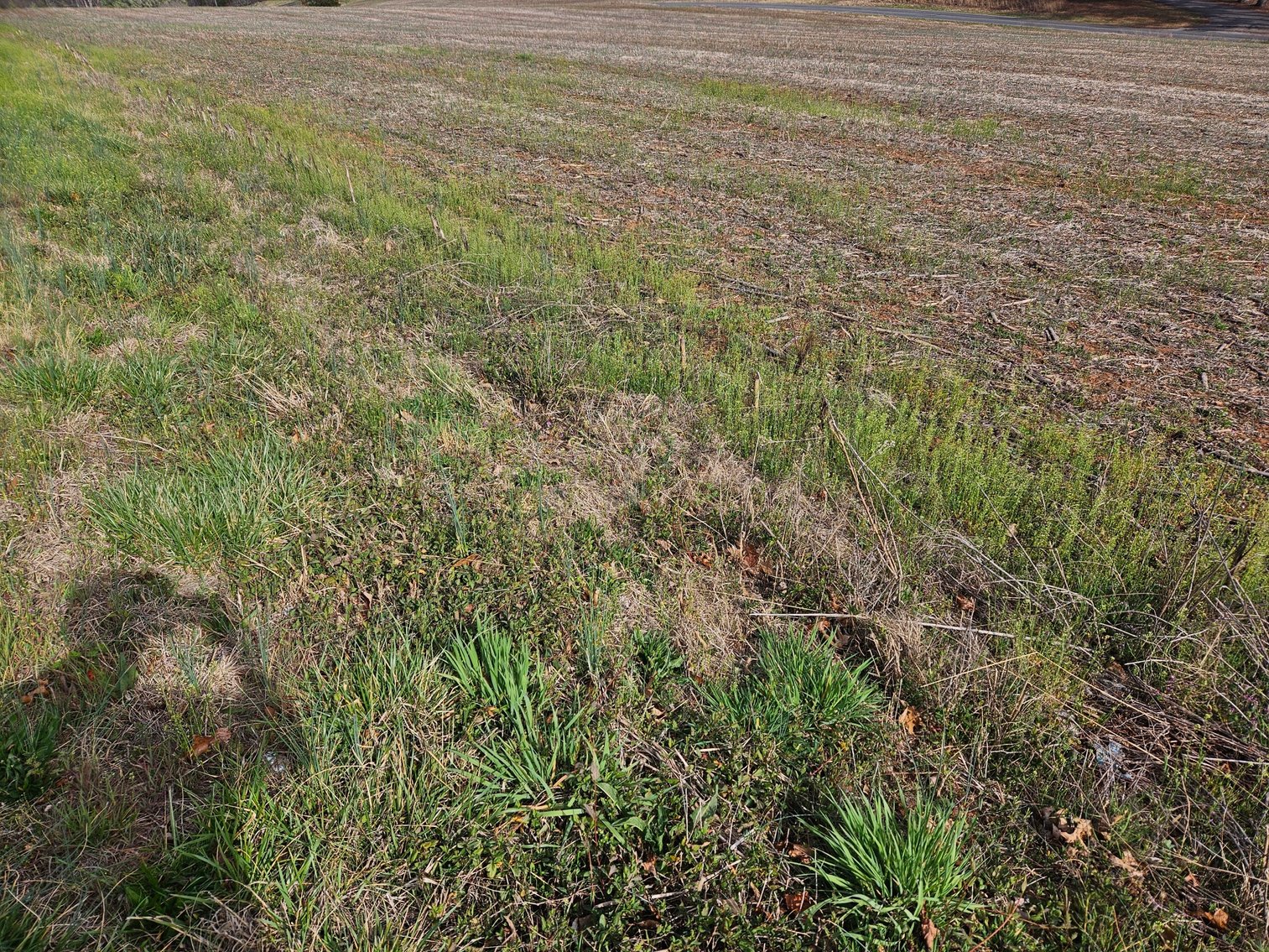 Image for Land For Sale in East Bend - NC HWY 67