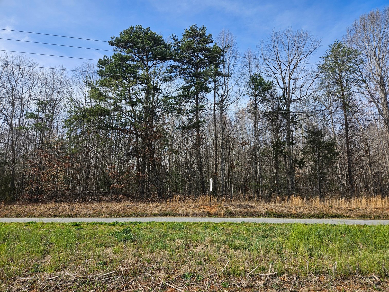 Image for Land For Sale in East Bend - NC HWY 67