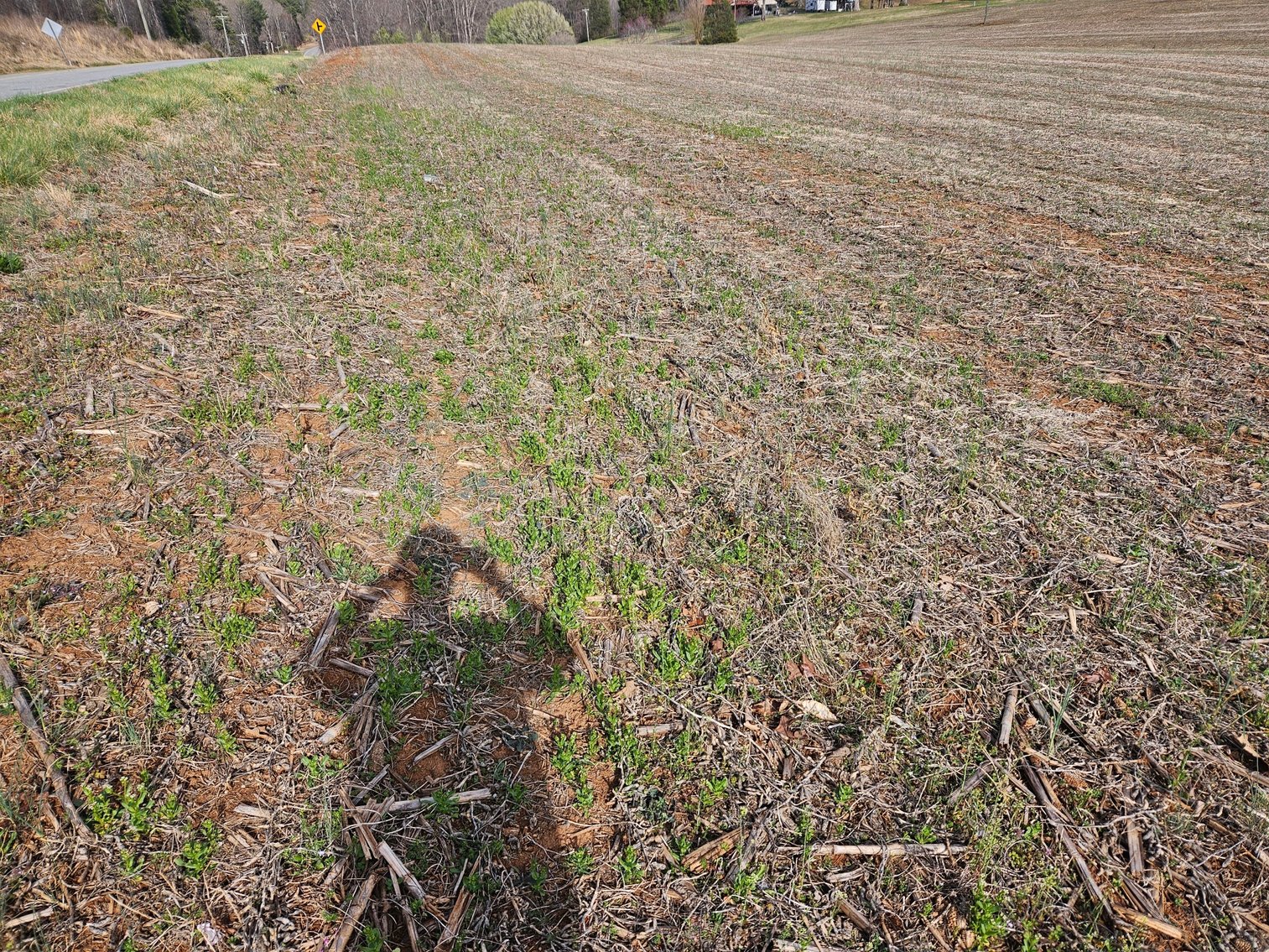 Image for Land For Sale in East Bend - NC HWY 67