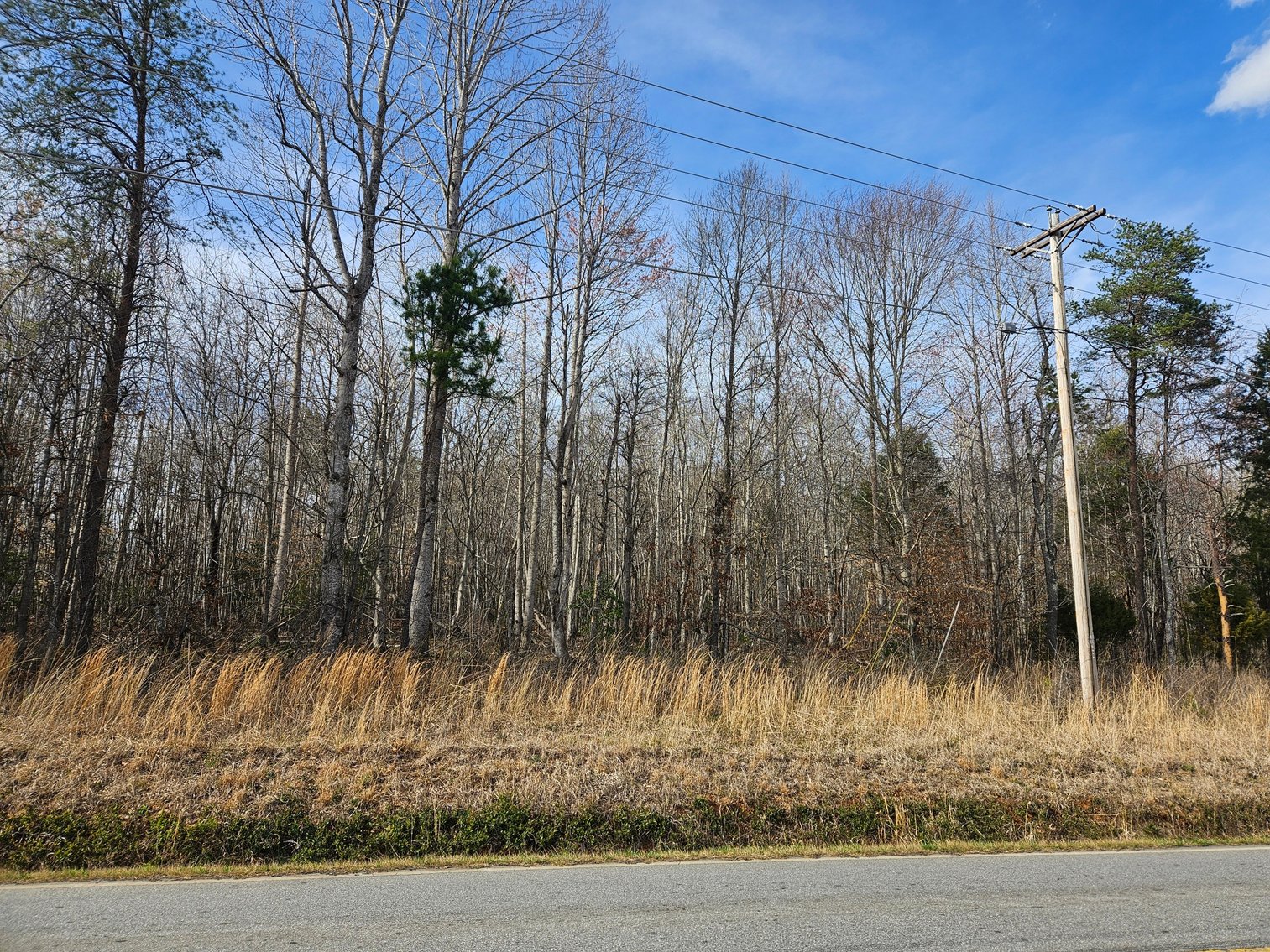 Image for Land For Sale in East Bend - NC HWY 67
