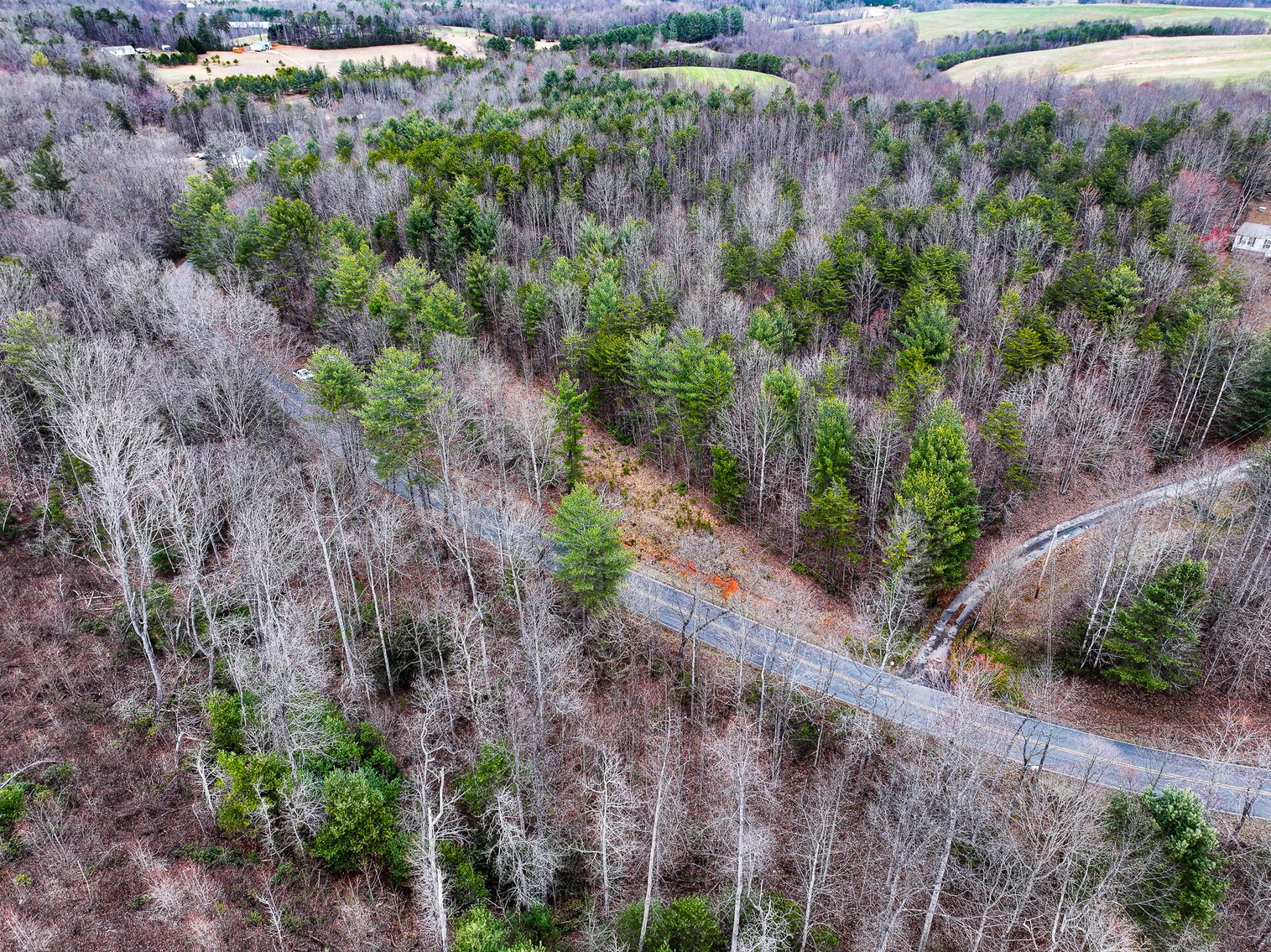 Image for Land For Sale in Dobson - Lot# 12, Fisher Valley Road