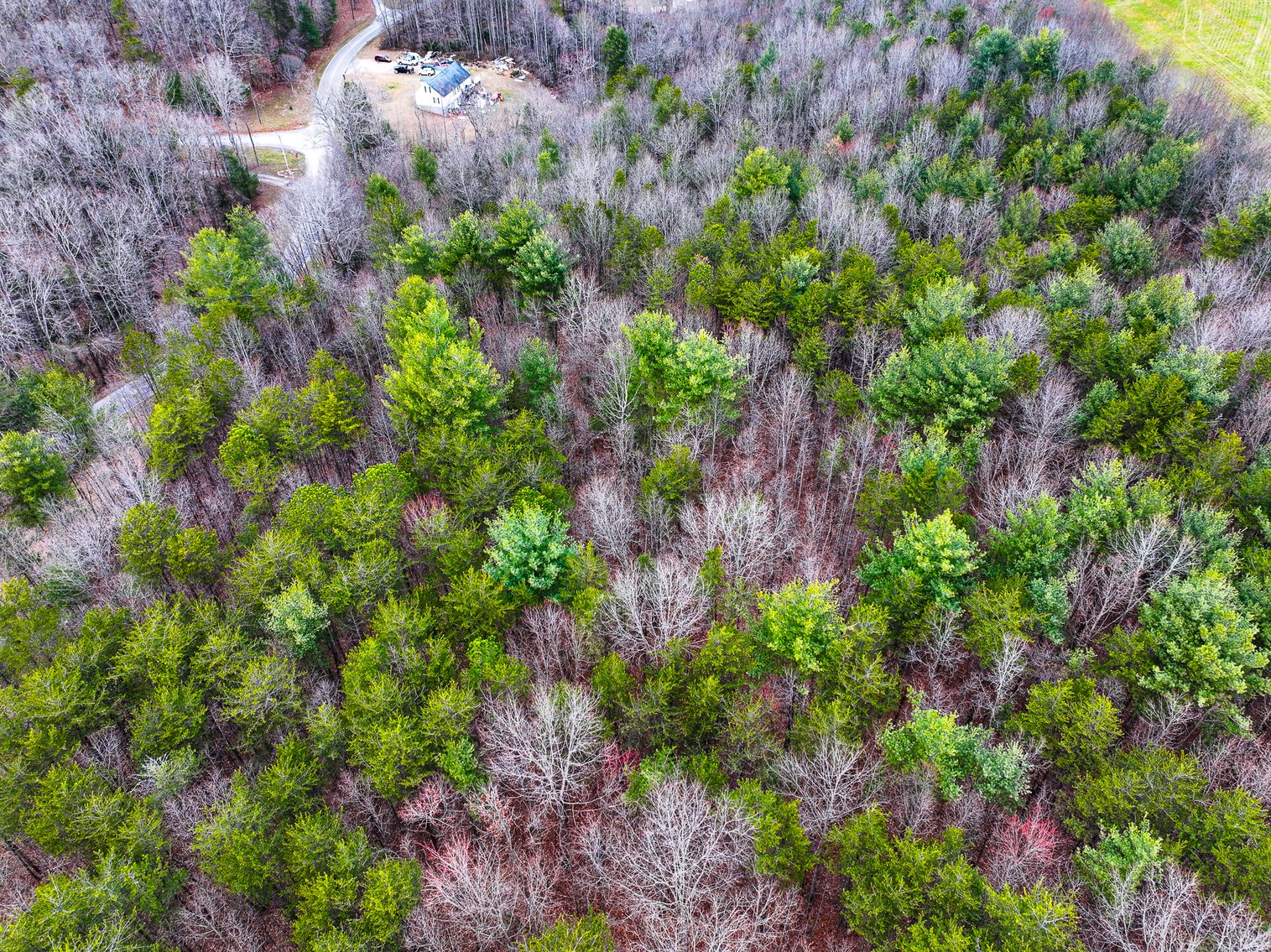 Image for Land For Sale in Dobson - Lot# 12, Fisher Valley Road
