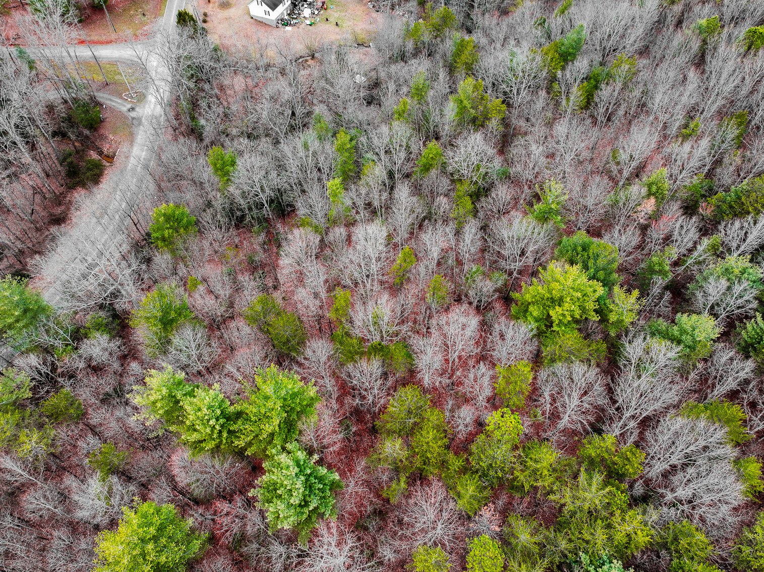 Image for Land For Sale in Dobson - Lot# 12, Fisher Valley Road