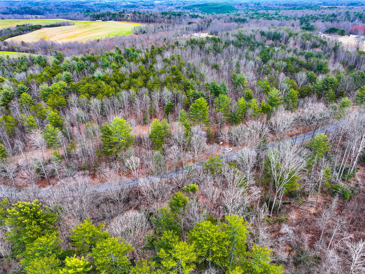 Image for Land For Sale in Dobson - Lot# 12, Fisher Valley Road