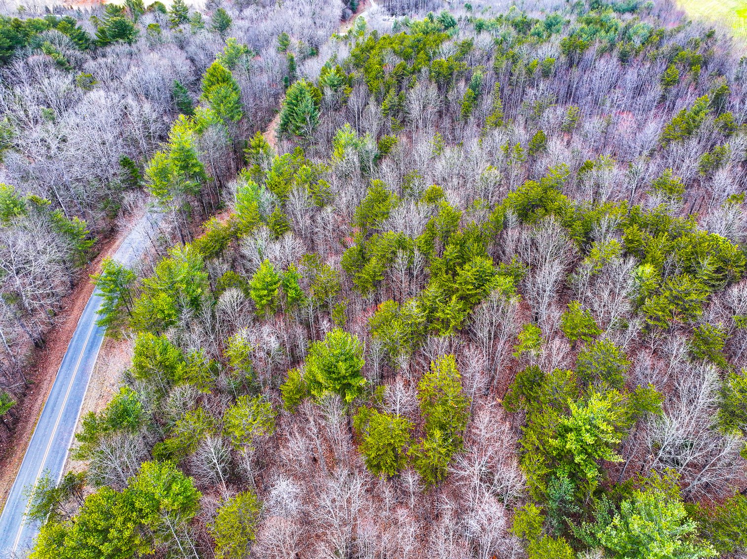Image for Land For Sale in Dobson - Lot# 10, Fisher Valley Road