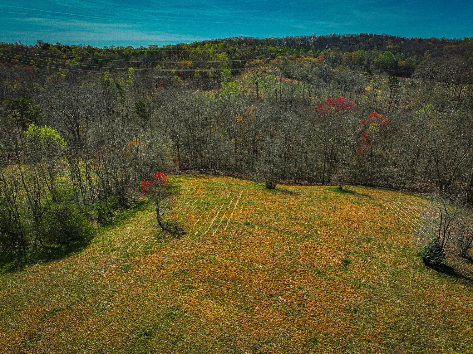 Image for Home For Sale in East Bend - 2612 Crissman Road