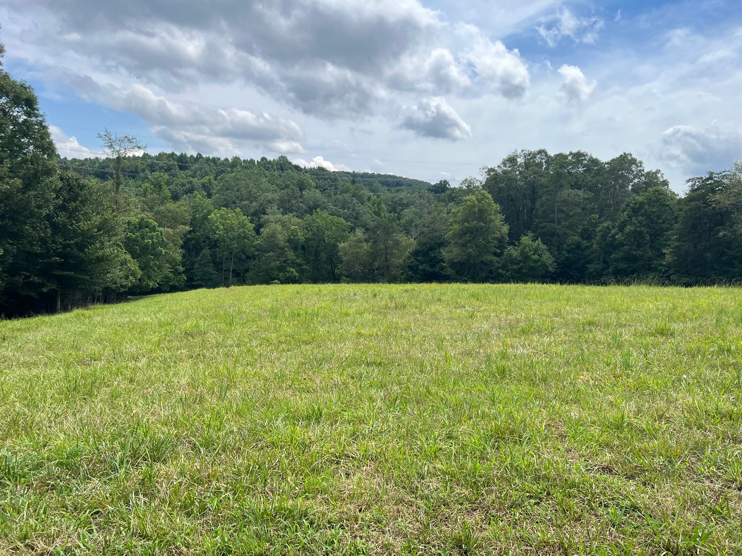 Image for Home For Sale in East Bend - 2612 Crissman Road