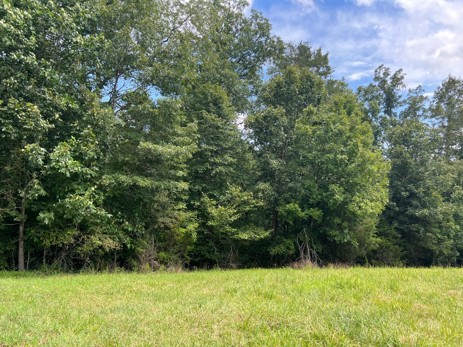 Image for Home For Sale in East Bend - 2612 Crissman Road