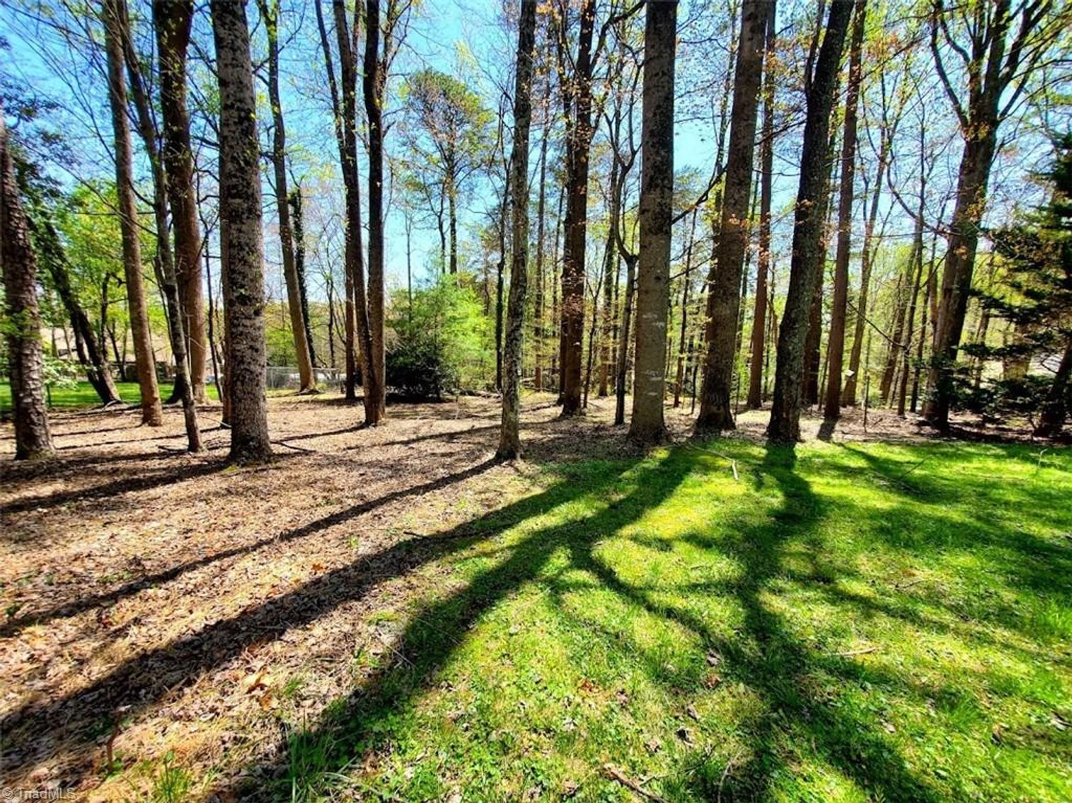 Image for Brick Home on 1.15 Acres in Laurel Hills - 181 Laurel Lane, Mount Airy, NC