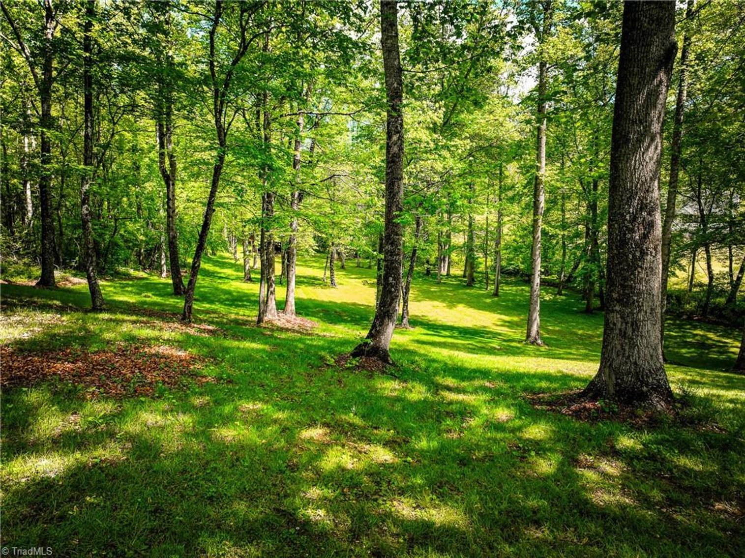 Image for Home For Sale in Pilot Mountain - 211 Service Road