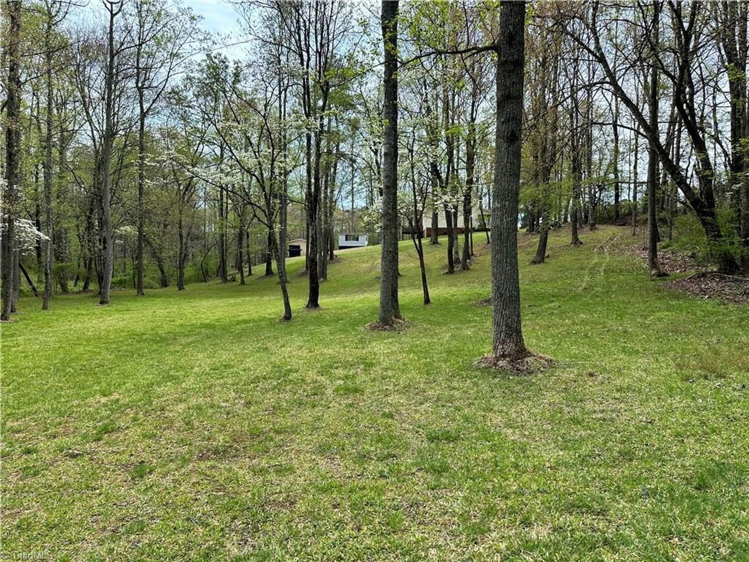 Image for Home For Sale in Pilot Mountain - 211 Service Road