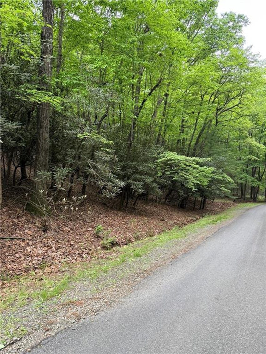 Image for Land For Sale in Lowgap - Lot 35, Baldwin Drive