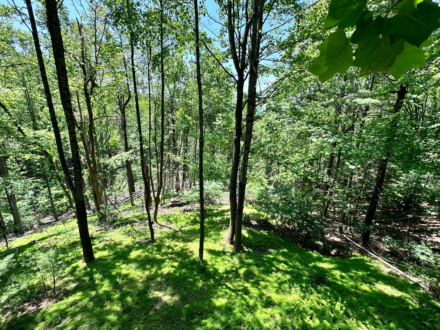 Image for Home For Sale in Fancy Gap, Virginia - 151 Powhatan