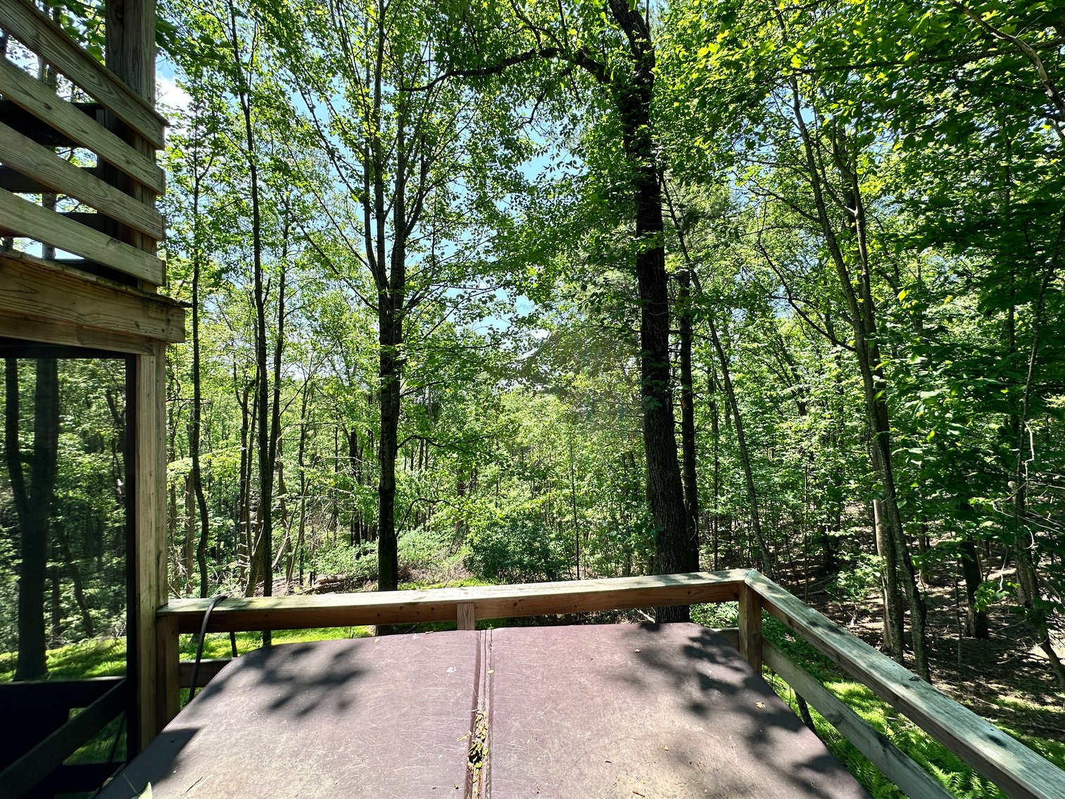 Image for Home For Sale in Fancy Gap, Virginia - 151 Powhatan
