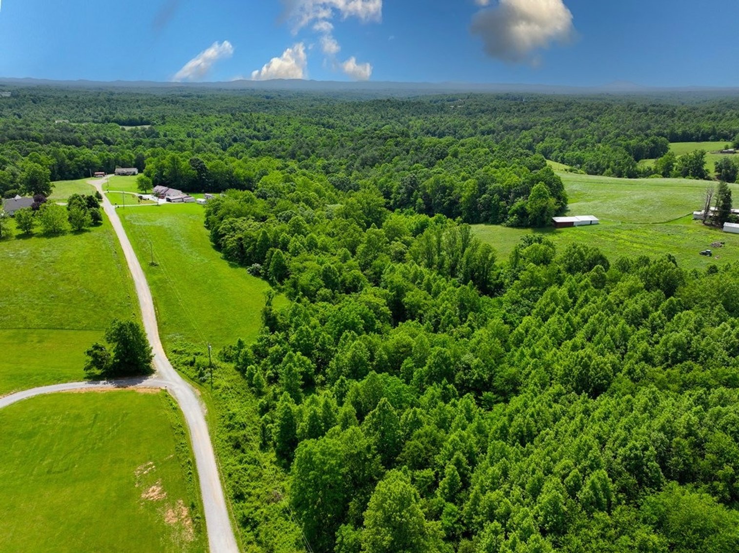 Image for Land for Sale - TBD English Forest, Cana, VA 24317