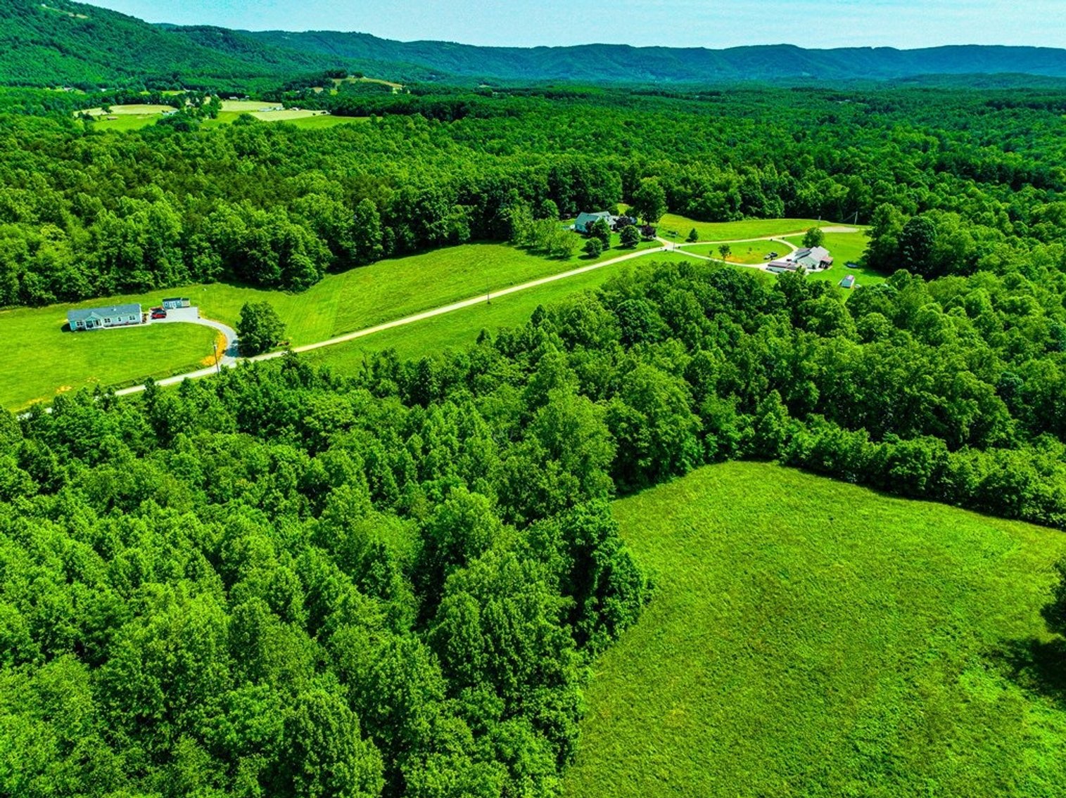 Image for Land for Sale - TBD English Forest, Cana, VA 24317