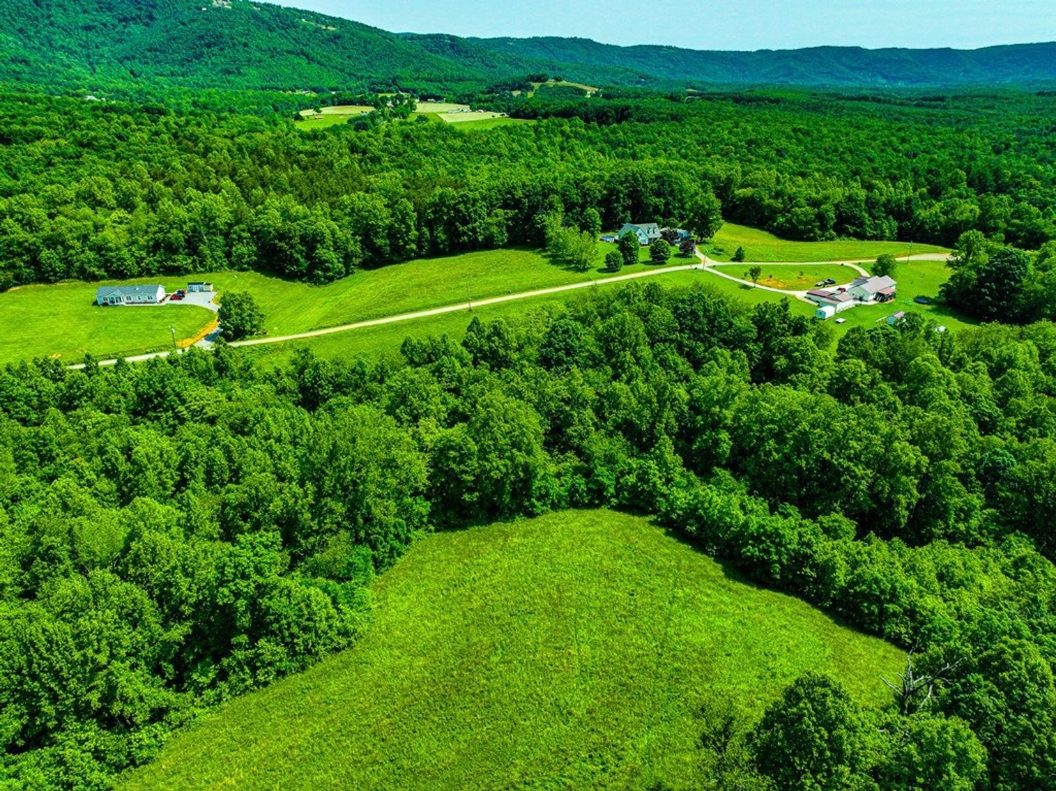 Image for Land for Sale - TBD English Forest, Cana, VA 24317