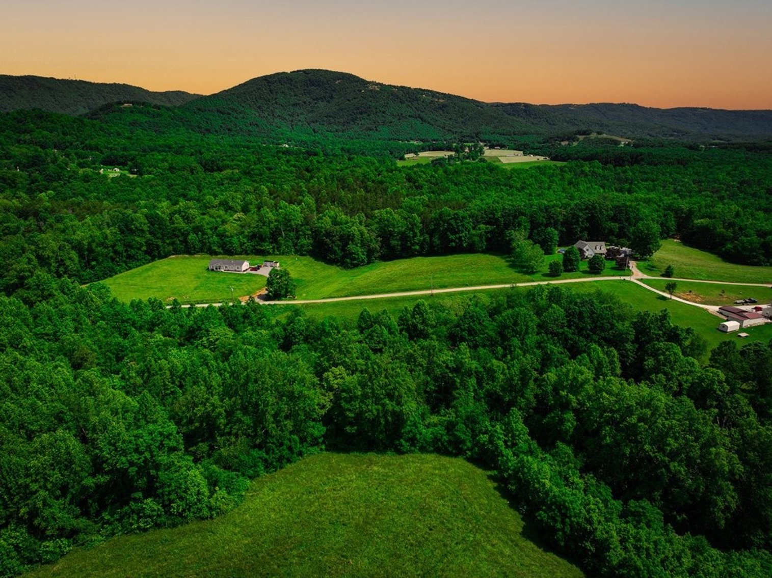 Image for Land for Sale - TBD English Forest, Cana, VA 24317