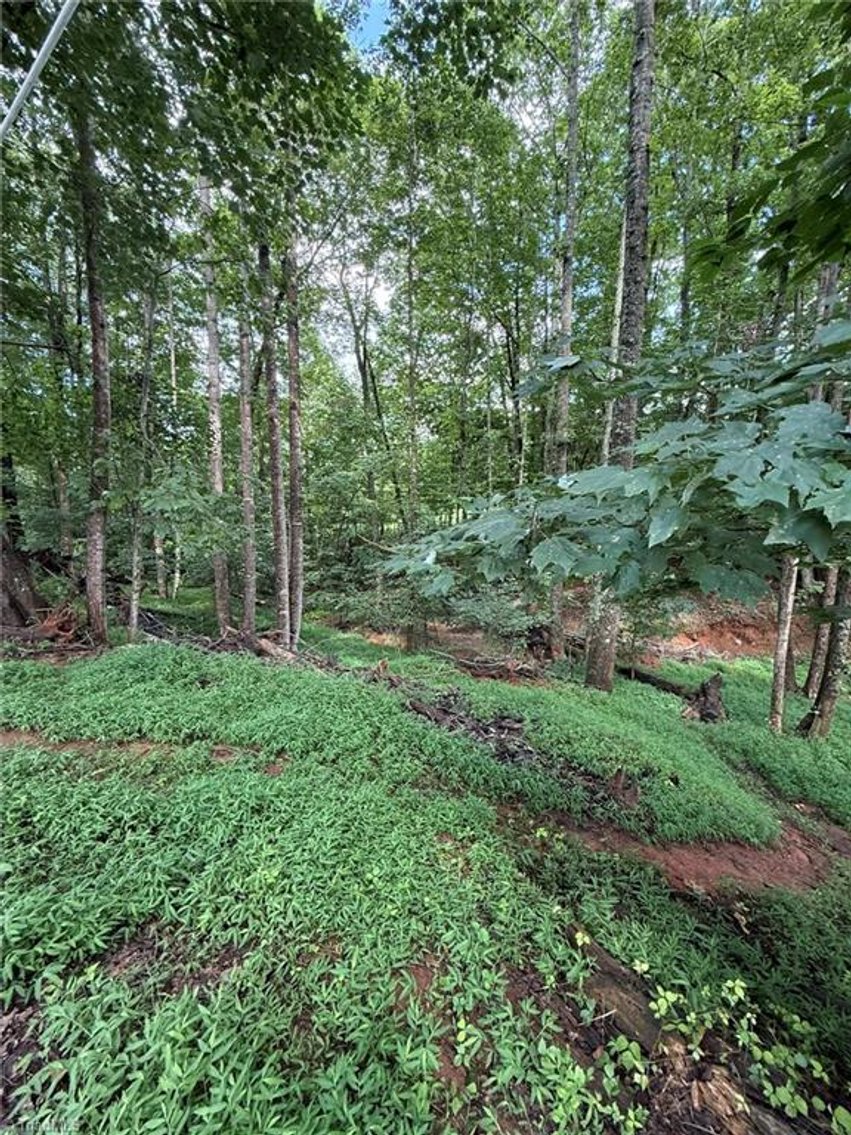 Image for Land For Sale in Mount Airy - Sideview Lane Lots 4, 5, and 6