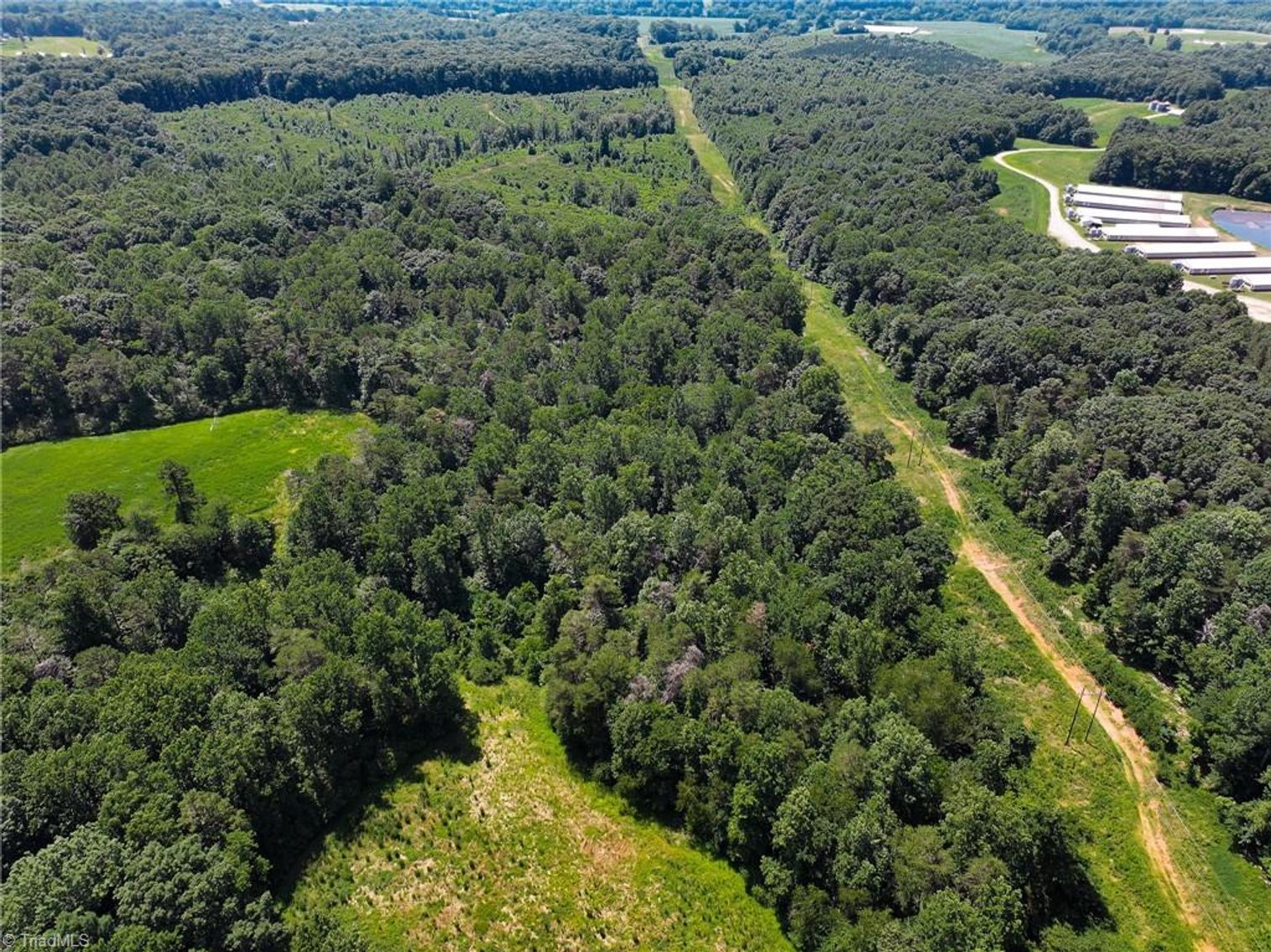 Image for 47± Acres in Siloam, NC