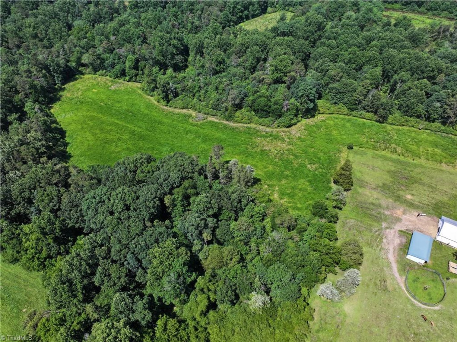 Image for 47± Acres in Siloam, NC