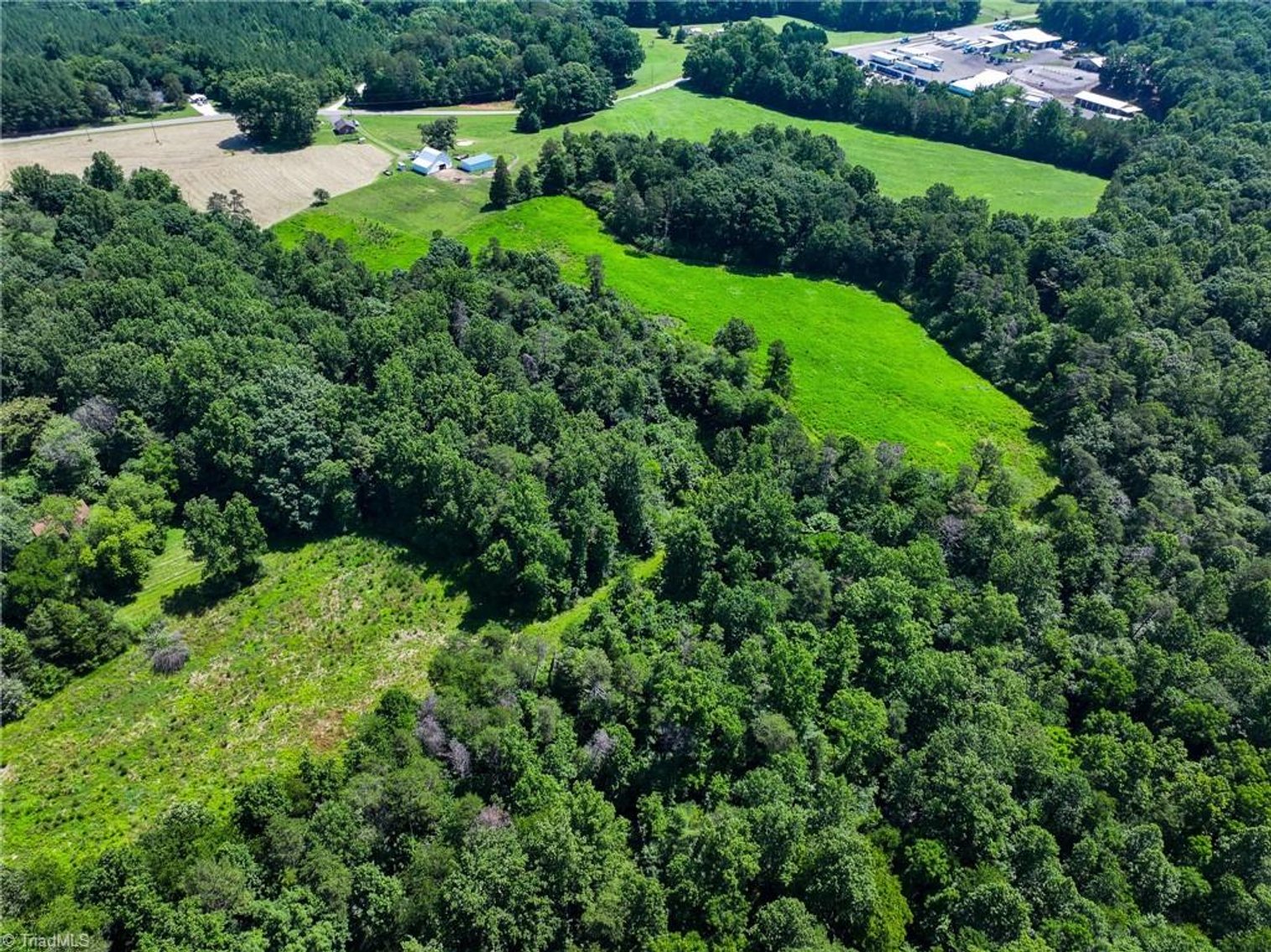 Image for 47± Acres in Siloam, NC