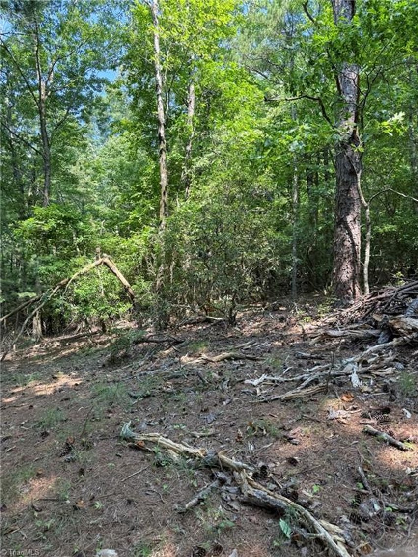 Image for Lot For Sale in Lowgap - Lot# 33 Jonathan Drive