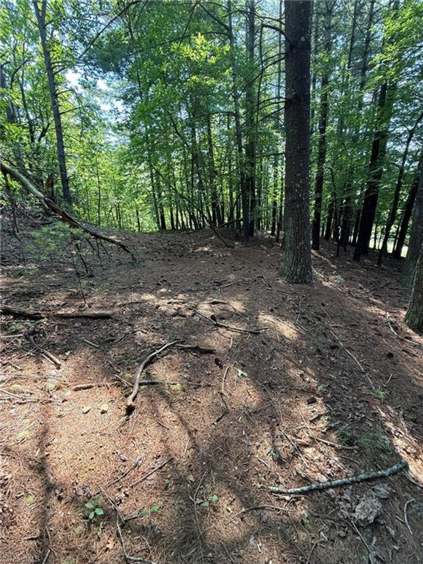Image for Lot For Sale in Lowgap - Lot# 33 Jonathan Drive
