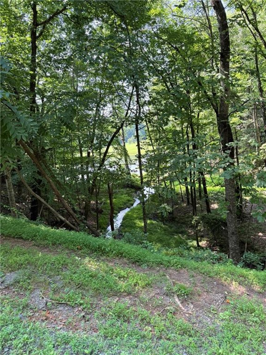 Image for Lot For Sale in Lowgap - Lot# 33 Jonathan Drive