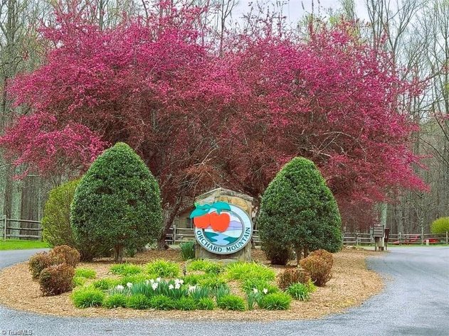 Lot For Sale in Lowgap - Lot# 33 Jonathan Drive