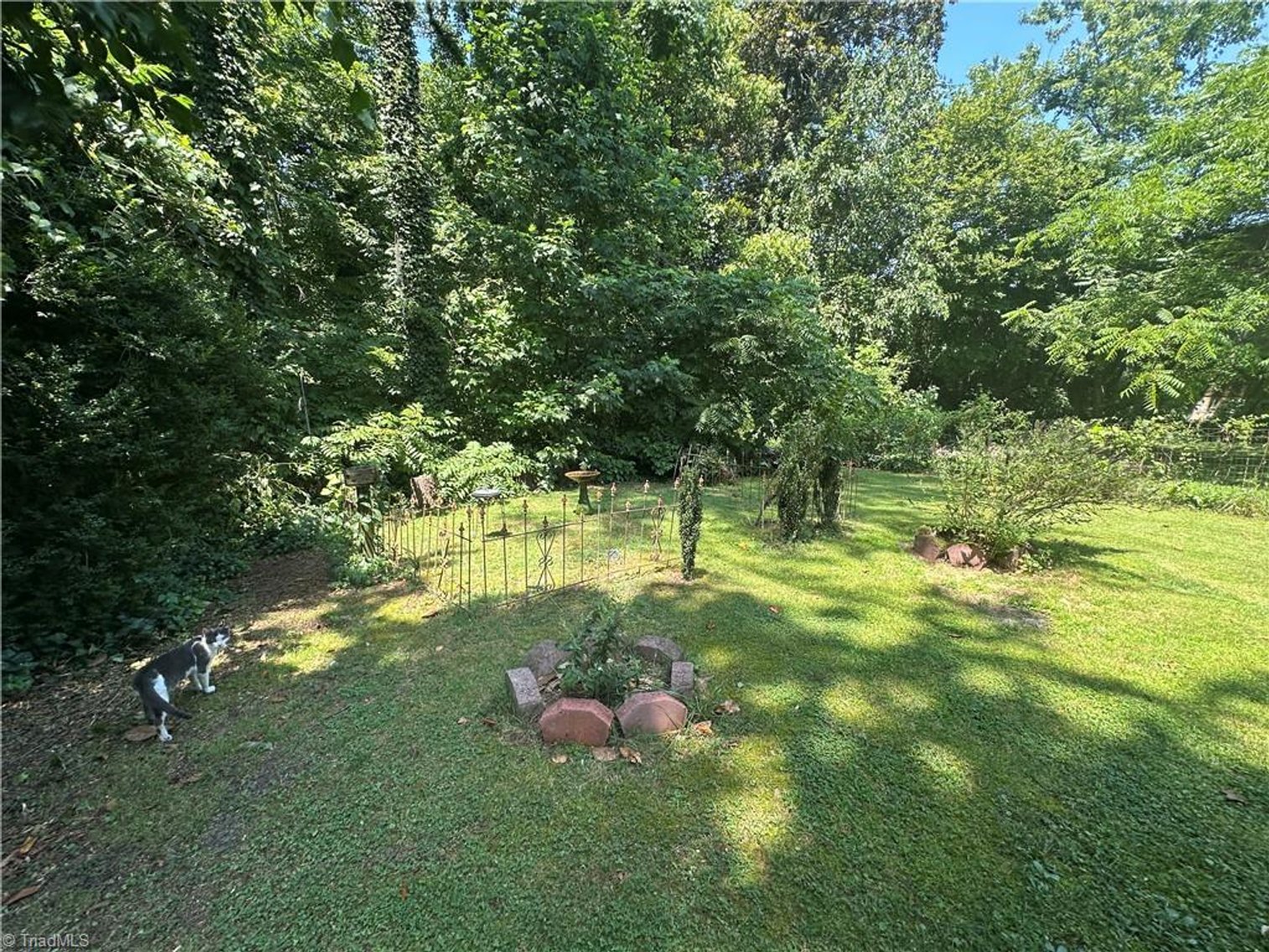 Image for Home For Sale in Mount Airy - 651 Willow Street