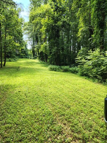 Land For Sale in Ararat, Virginia - 0000 Ararat