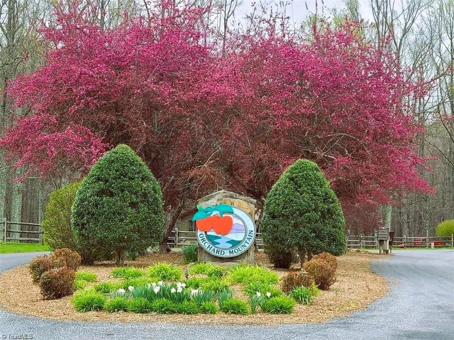 Image for Land For Sale in Lowgap, NC - Lot 64 Jonathan Drive