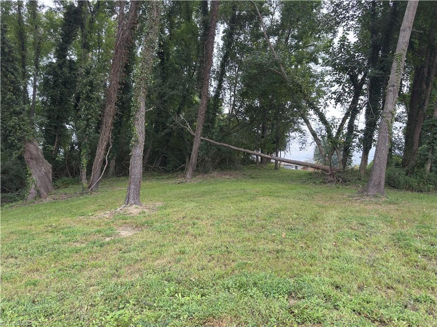 Image for Home For Sale in Mount Airy - 1122 Viewland Avenue