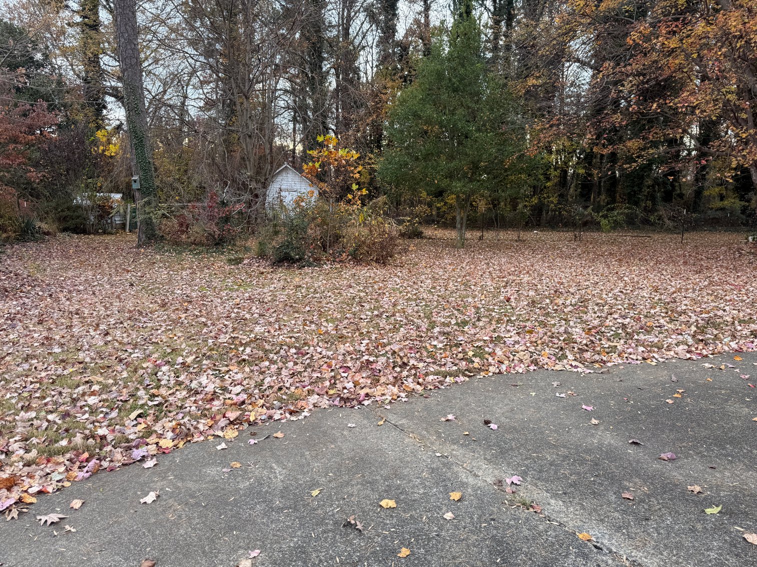 Image for Home For Sale in Dobson, NC - 602 South Main Street