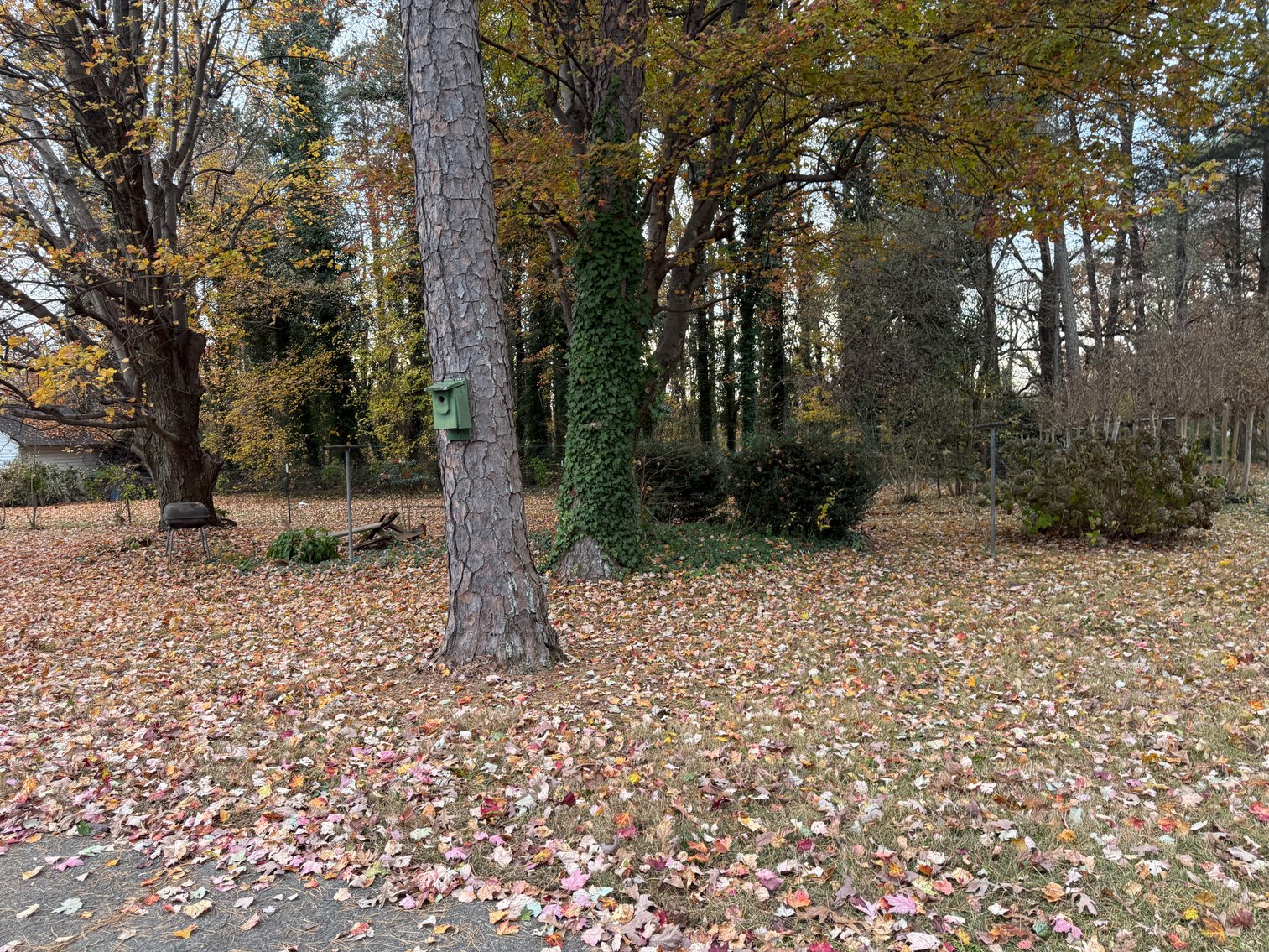 Image for Home For Sale in Dobson, NC - 602 South Main Street