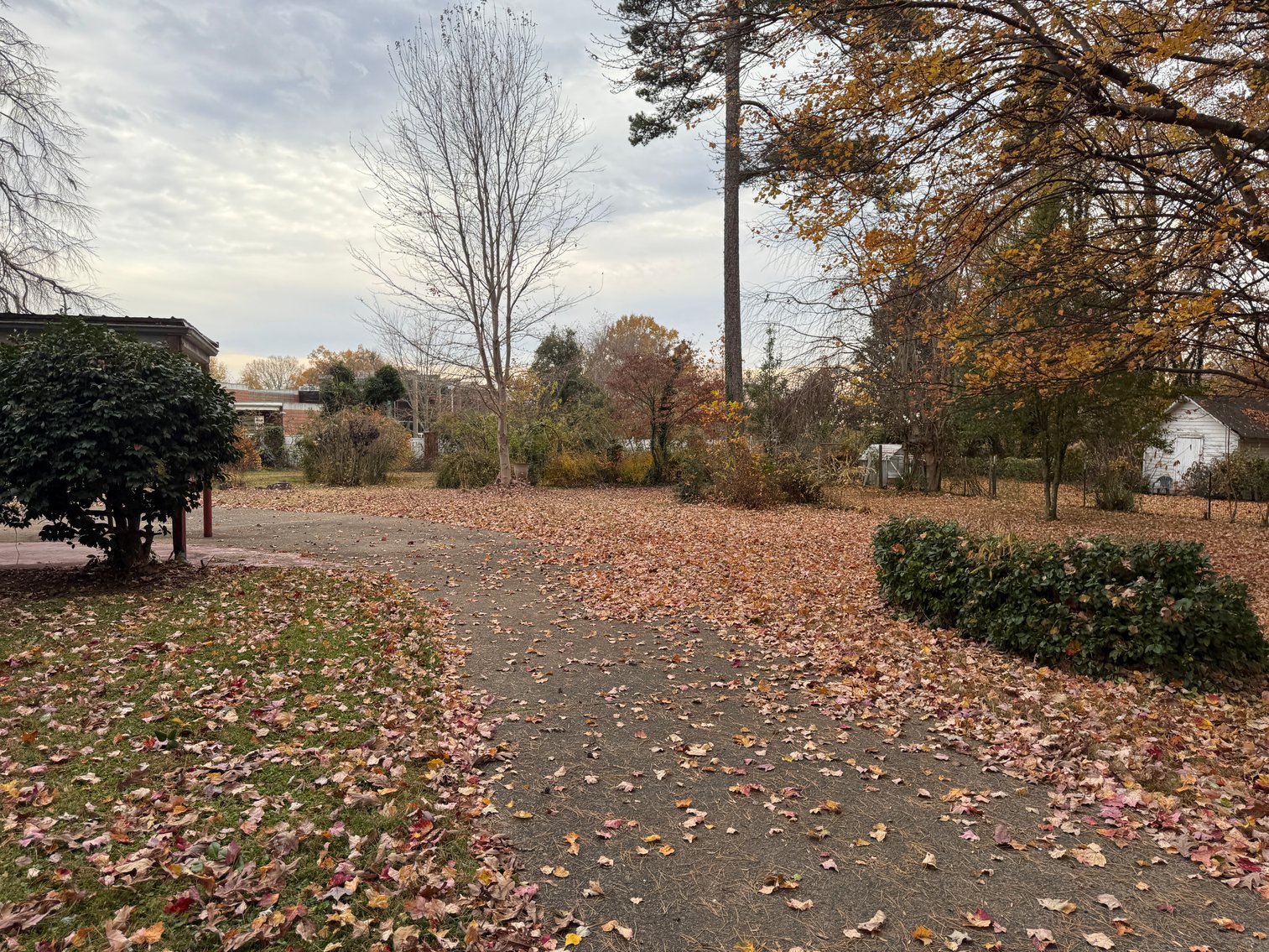 Image for Home For Sale in Dobson, NC - 602 South Main Street