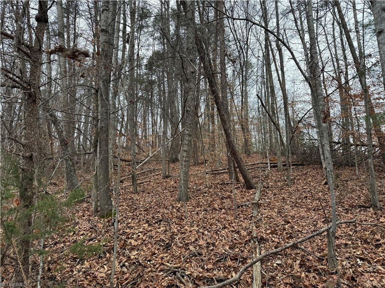Image for Land For Sale in Pinnacle - Lot# 40 Creekside Way Road