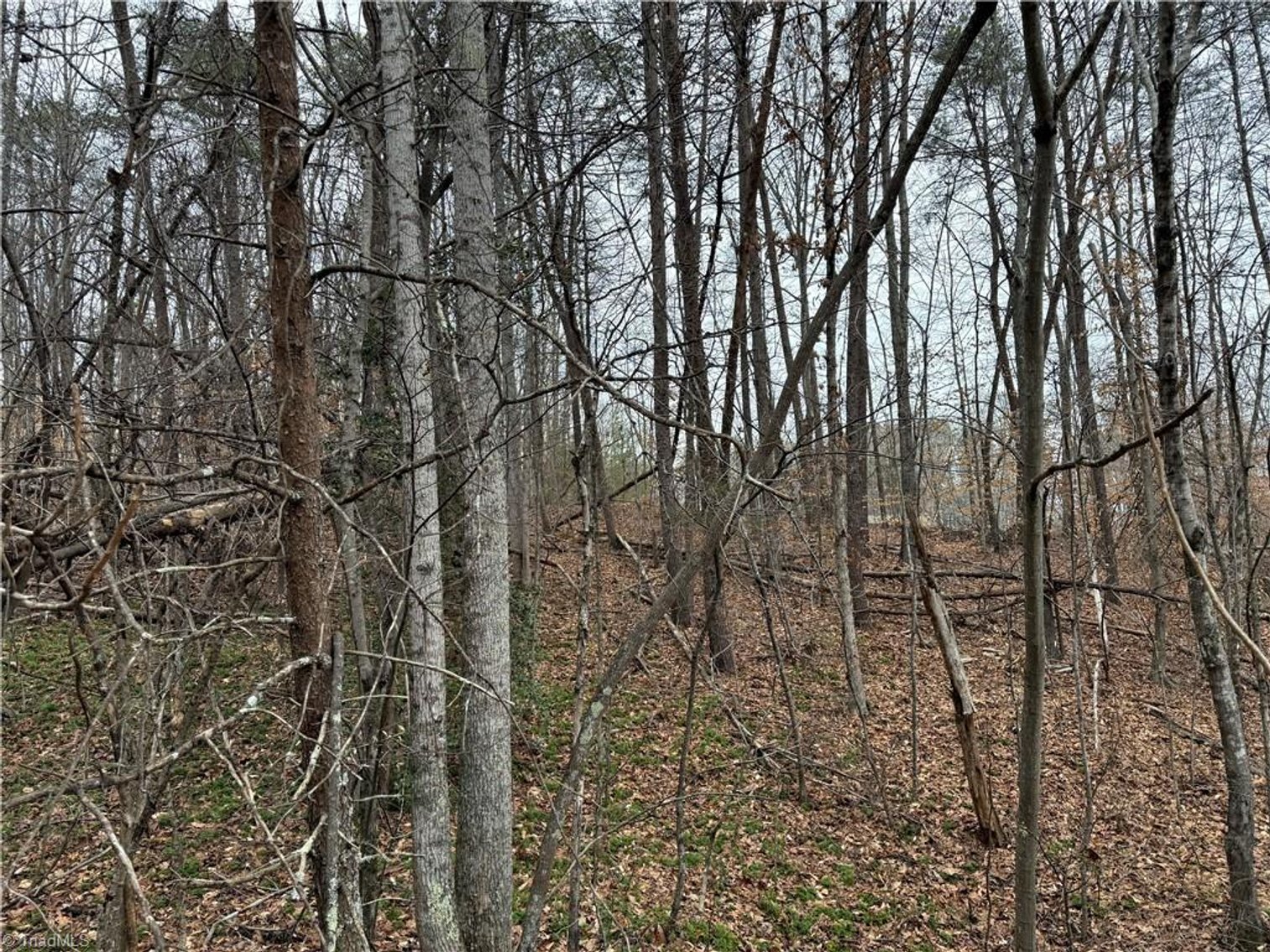 Image for Land For Sale in Pinnacle - Lot# 40 Creekside Way Road