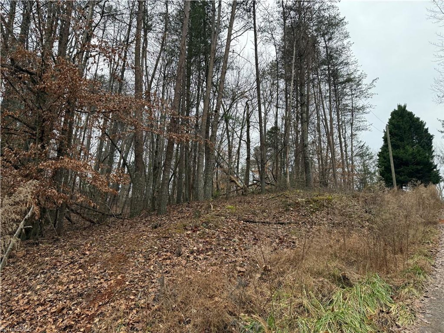Image for Land For Sale in Pinnacle - Lot# 44 Creekside Way Road