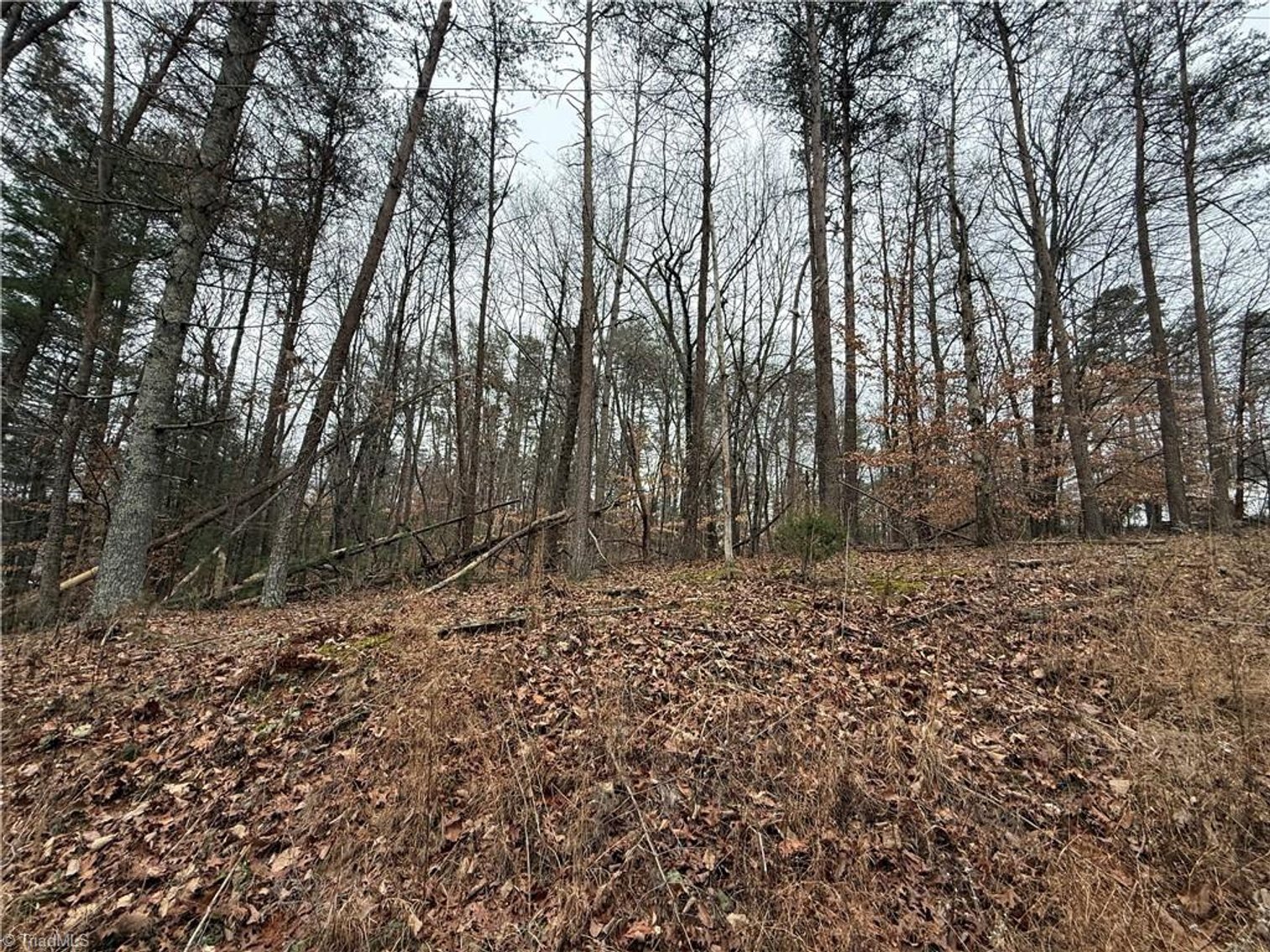 Image for Land For Sale in Pinnacle - Lot# 44 Creekside Way Road