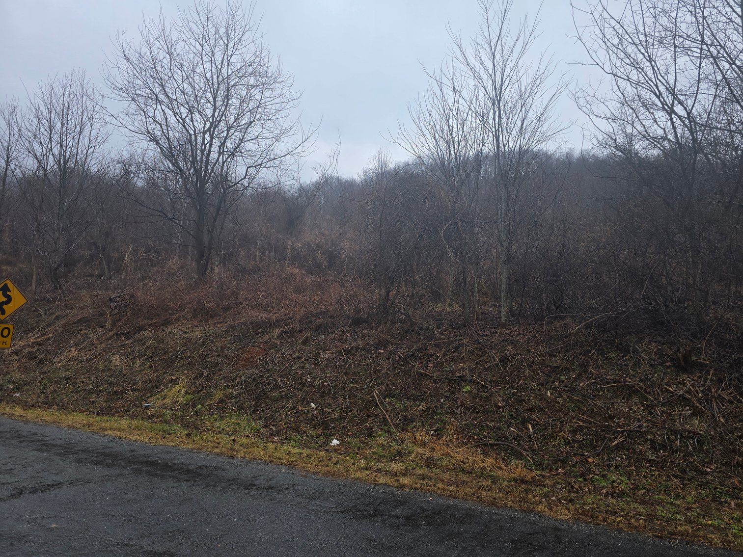 Image for Delinquent Tax & Special Commissioner's Sale of Real Estate: Patrick County, VA