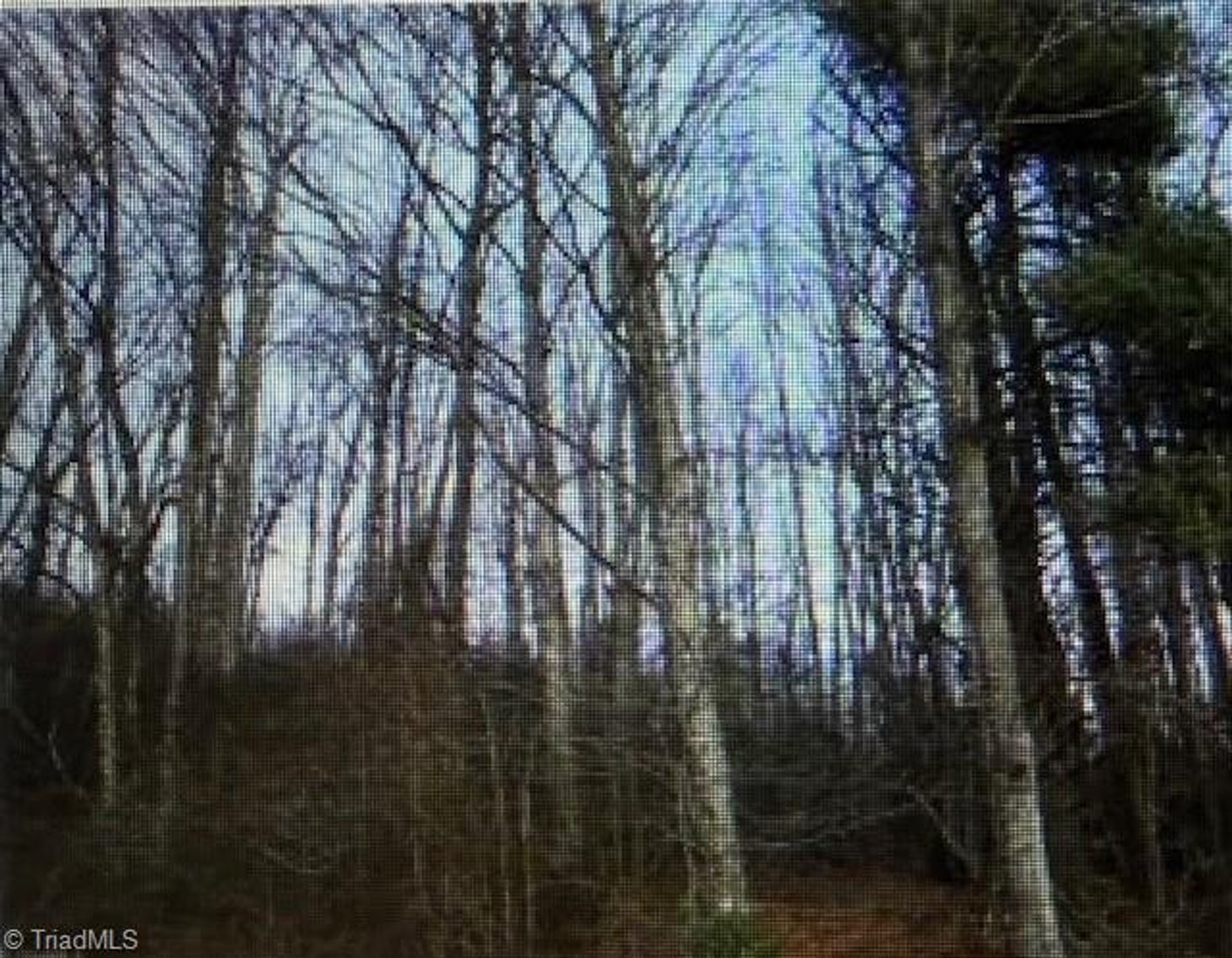 Image for Land For Sale in Lowgap, NC - TBD Tony Holder Road
