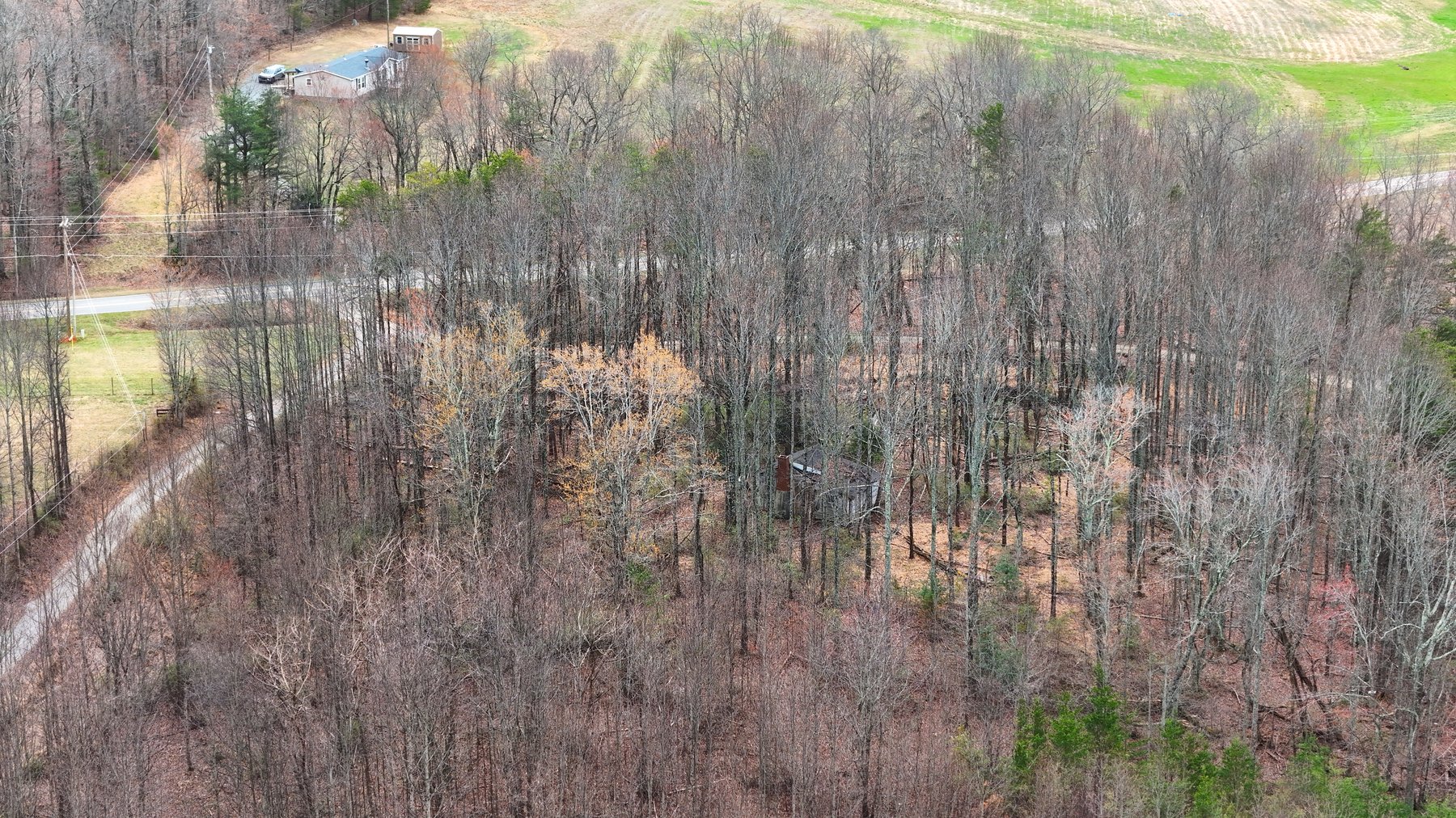 Image for Commissioner’s Sale: 23± Acres of Private Land with Mobile Home in Mount Airy, NC