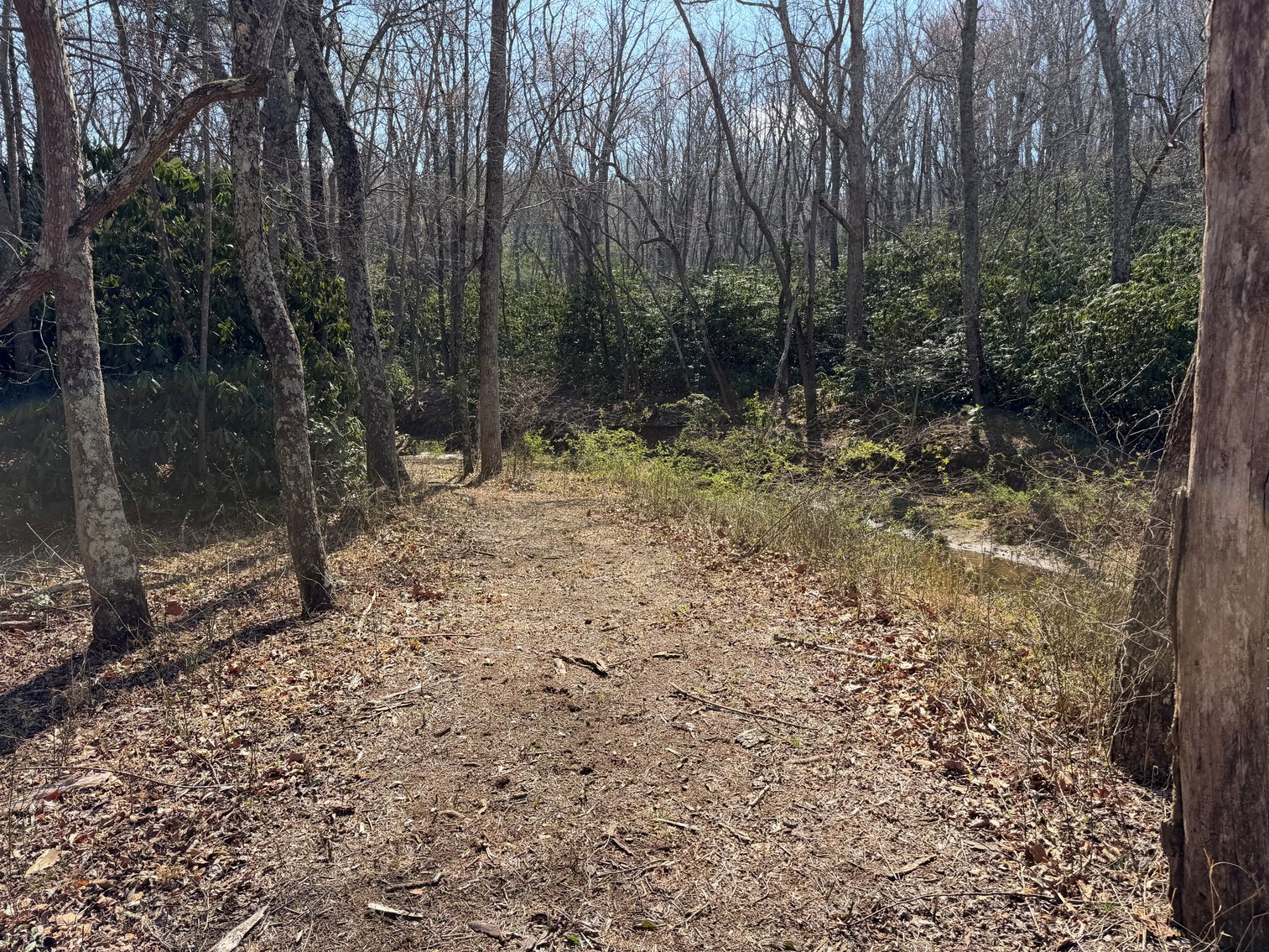 Image for Land For Sale in Lowgap, NC - TBD Old MIll Road