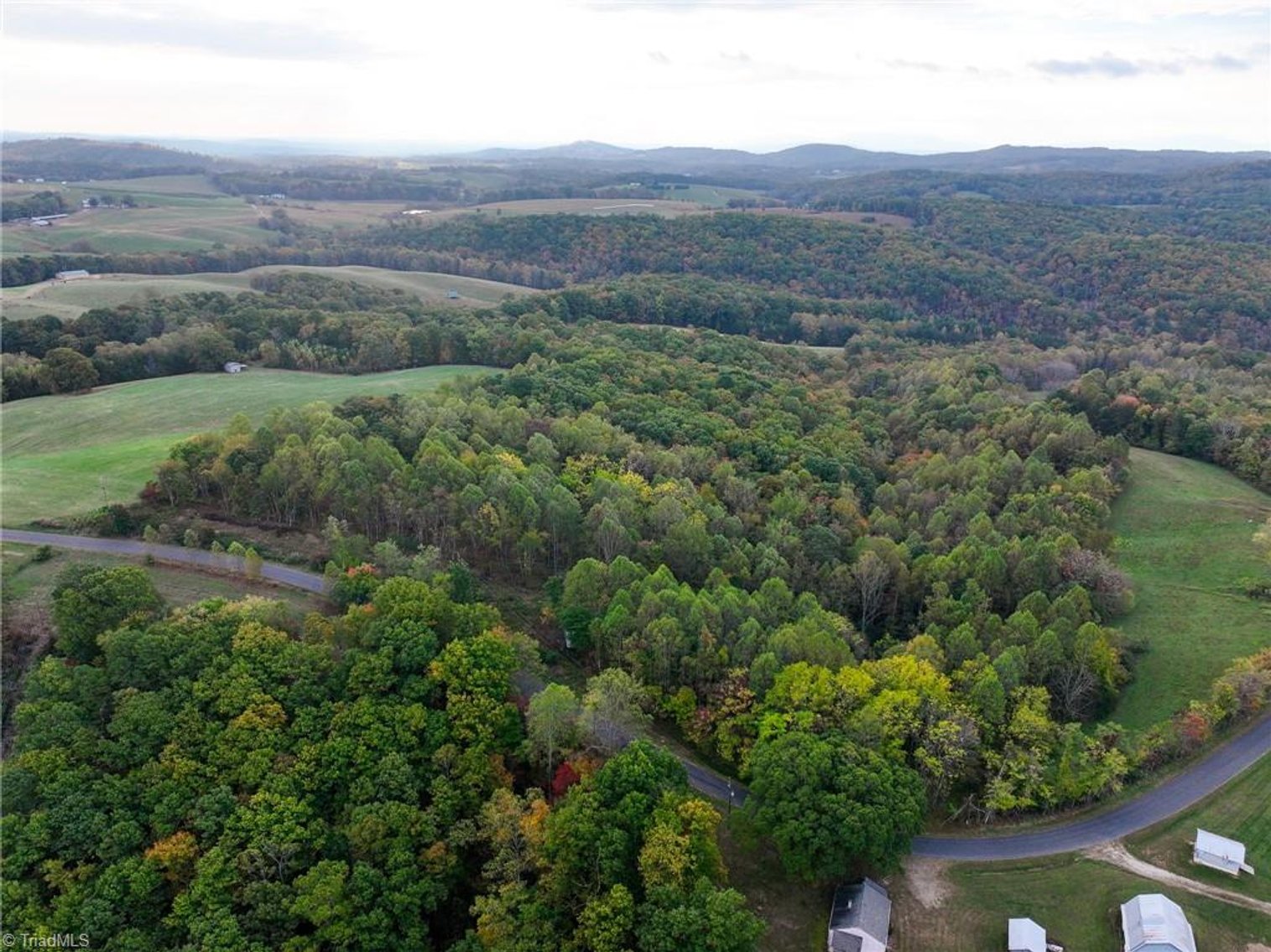 Image for Land For Sale in Claudville, Virginia - TBD Pedigo Ridge Road