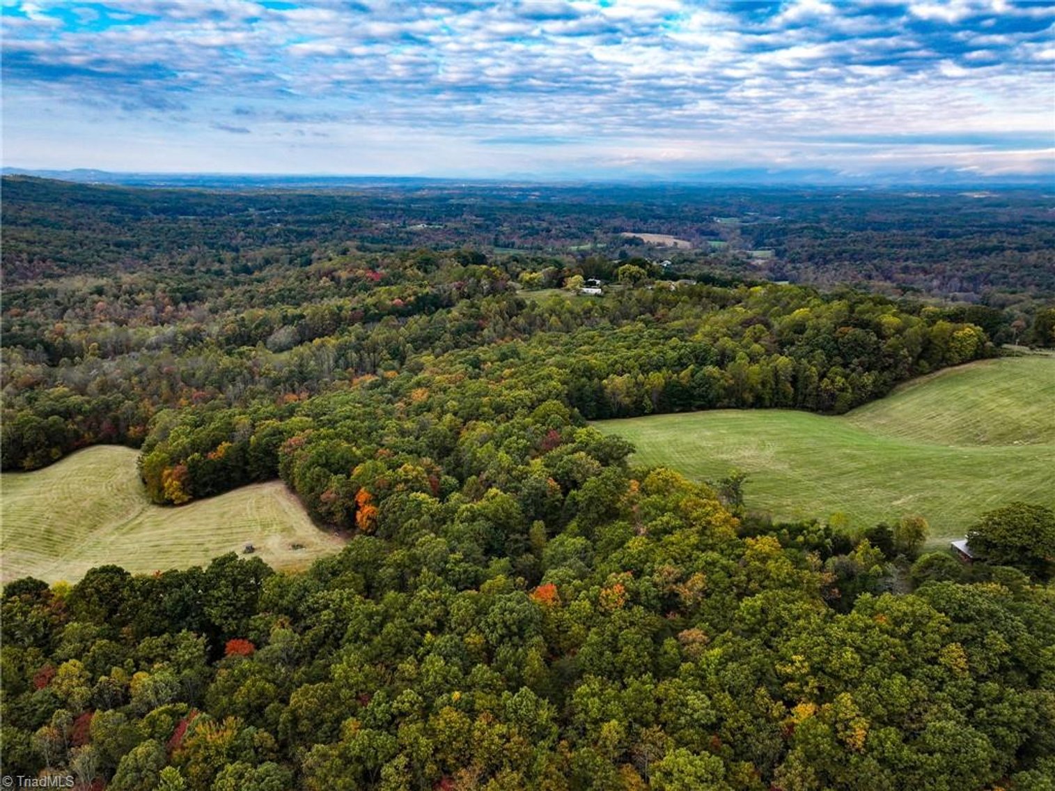 Image for Land For Sale in Claudville, Virginia - TBD Pedigo Ridge Road